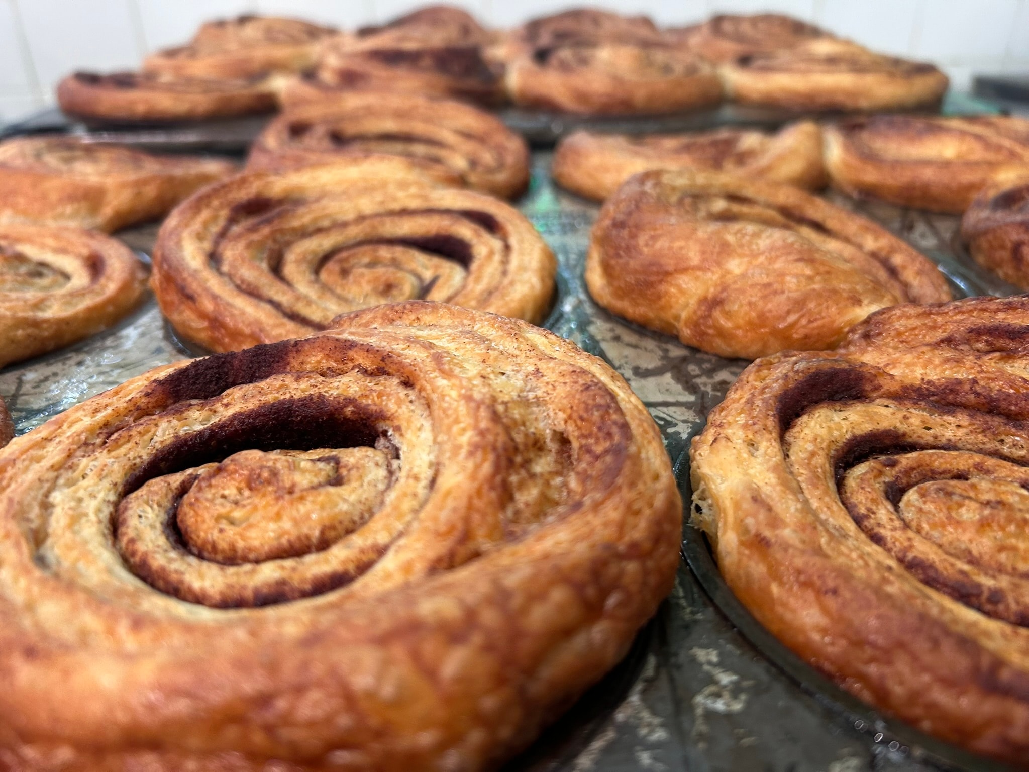 Fresh-baked cinnamon rolls on a tray straight from the oven